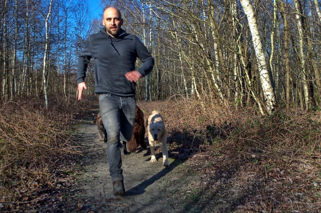 Uitlater met honden op pad tijdens een daguitstap